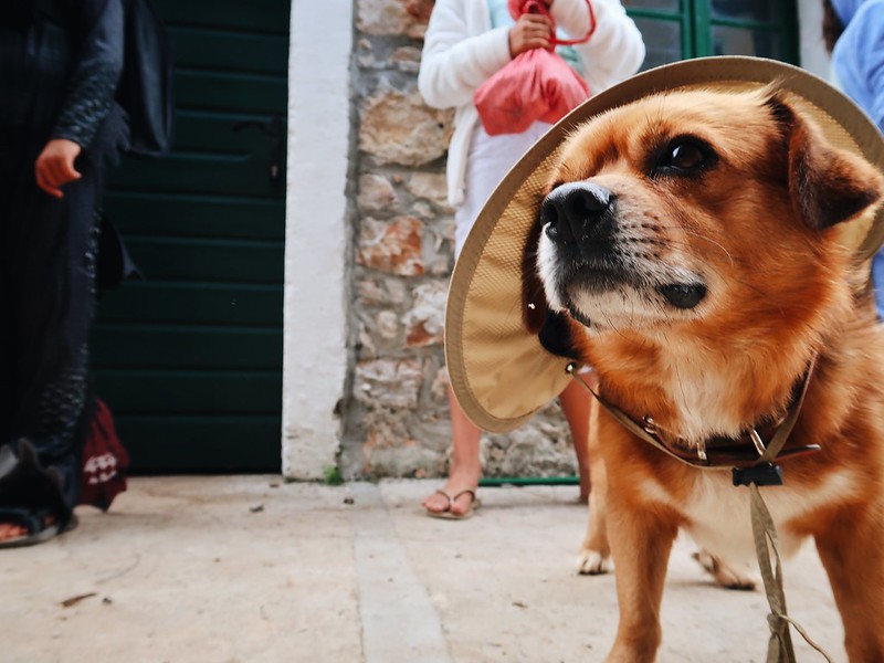 Halloween in Zastrazisce, Hvar, Croatia.