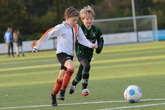 HBC Voetbal • <a style="font-size:0.8em;" href="http://www.flickr.com/photos/151401055@N04/49013025108/" target="_blank">View on Flickr</a>