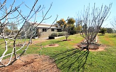 276 Pattersons Lane, Young NSW