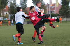 HBC Voetbal • <a style="font-size:0.8em;" href="http://www.flickr.com/photos/151401055@N04/49042671217/" target="_blank">View on Flickr</a>