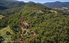 32 Moss Beds Road, Mountain River TAS