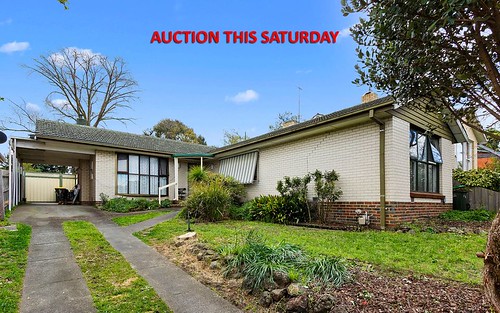 17 Willow St, Box Hill North VIC 3129