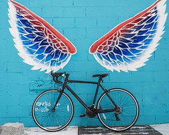 Bike Wing Graffiti