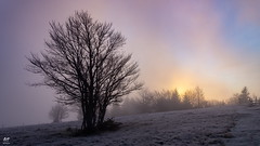 Sunrise (Vosges)