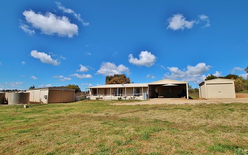 97 Tierneys Road, Young NSW 2594