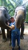 Krabi Elephant HOUSE Sanctuary