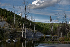 A Flooded Out Campground (Chena River State Recreation Area)