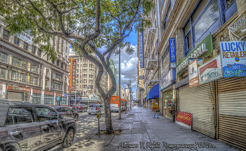 A Tree Grows in Los Angeles<br/>© <a href="https://flickr.com/people/77318907@N08" target="_blank" rel="nofollow">77318907@N08</a> (<a href="https://flickr.com/photo.gne?id=49104473986" target="_blank" rel="nofollow">Flickr</a>)