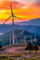 Windmills at sunset