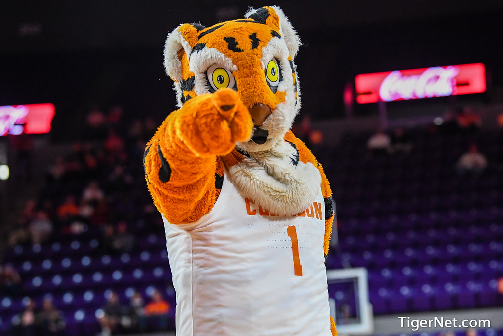 Clemson Basketball Photo of The Tiger and alabamaam