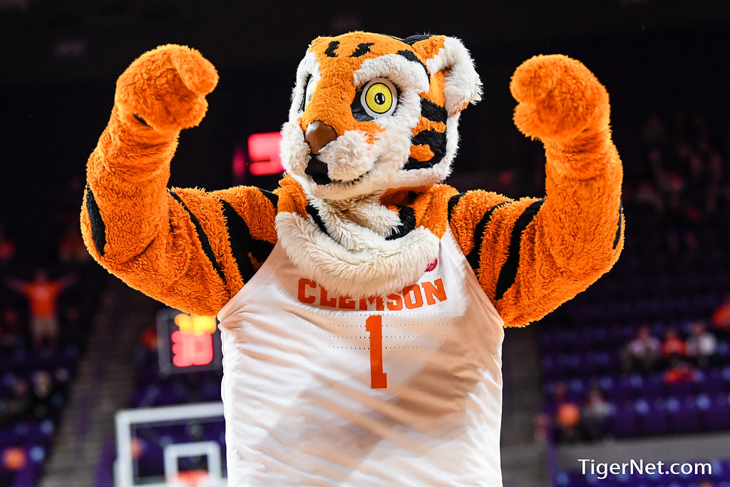 Clemson Basketball Photo of The Tiger and alabamaam