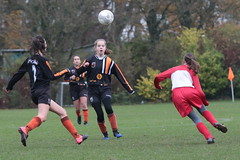 HBC Voetbal • <a style="font-size:0.8em;" href="http://www.flickr.com/photos/151401055@N04/49118645802/" target="_blank">View on Flickr</a>