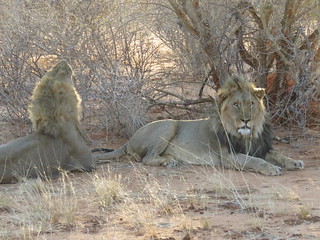 Namibia Photo Safari 66