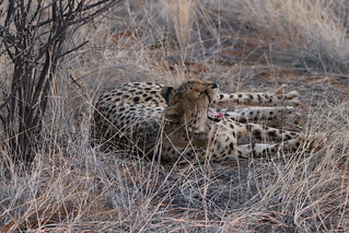Namibia Photo Safari 64