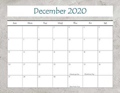 2020 Calendar FINAL_Page_25 • <a style="font-size:0.8em;" href="http://www.flickr.com/photos/109220014@N05/49124303846/" target="_blank">View on Flickr</a>