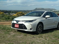 Nuevo Toyota Corolla 2020