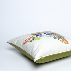 0908 Texas pillow on white for DIME website