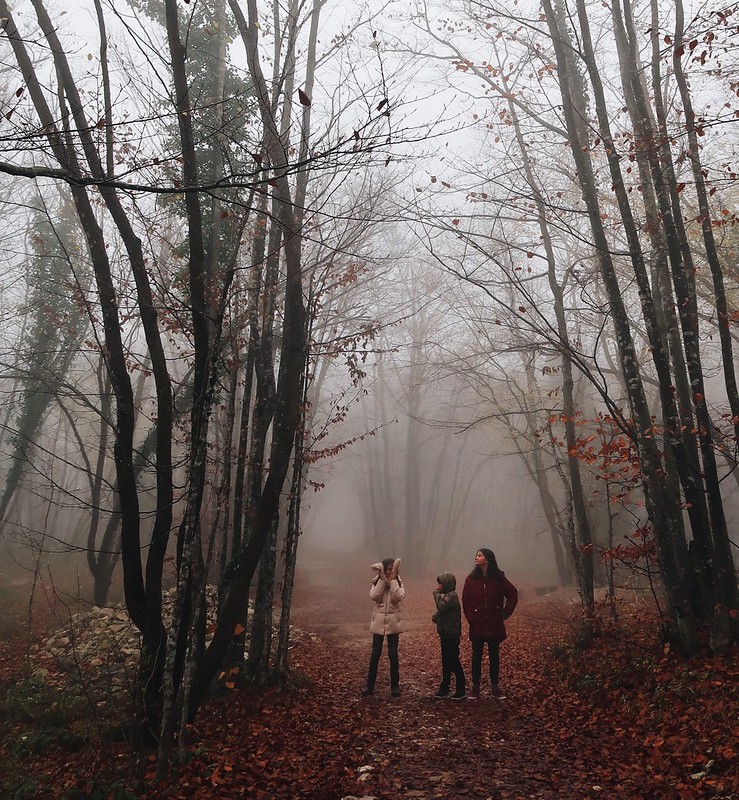 Plitvice National Park, Croatia. Off-season misty fall autumn blog.