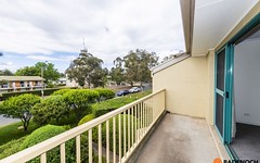 4/53 McMillan Crescent, Griffith ACT