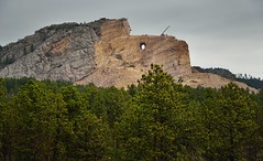 The Forest of the Black Hills Around the Crazy Horse Memorial