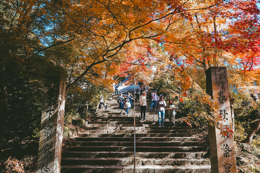 Kyushu Autumn Tour-132