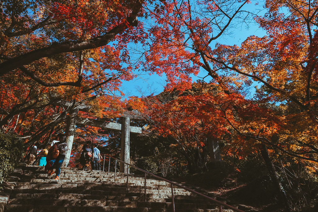 Kyushu Autumn Tour-131