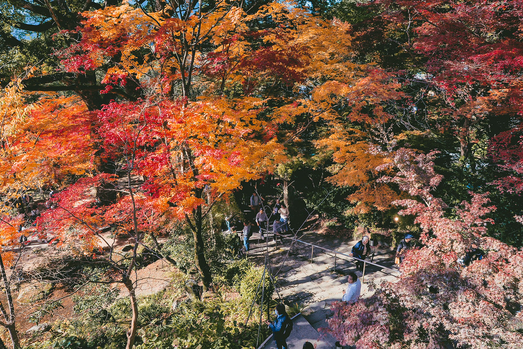Kyushu Autumn Tour-134