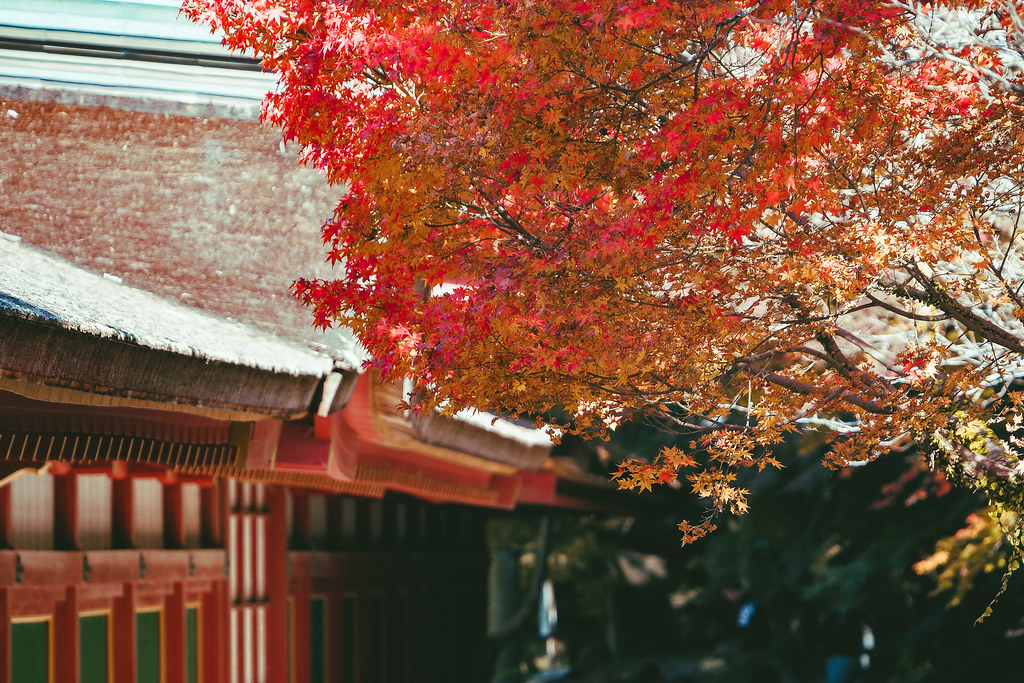 Kyushu Autumn Tour-124