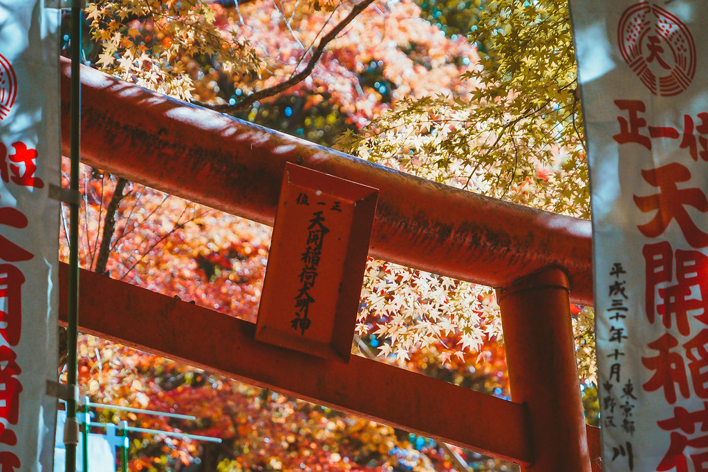 Kyushu Autumn Tour-128