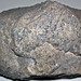 Slightly radioactive dinosaur bone (Morrison Formation, Upper Jurassic; Worland, Wyoming, USA) 1