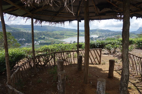 Pause pour boire de l'eau lors d'une randonnée dans les plantations de thé à Nuwara Eliya