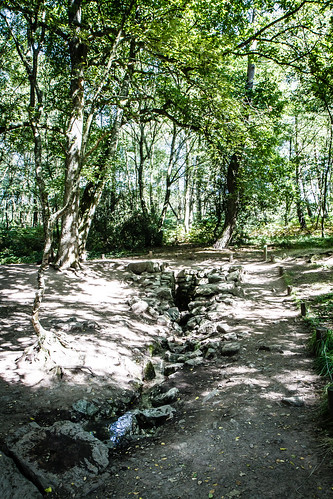 Forêt de Broceliande - Fontaine de Barenton