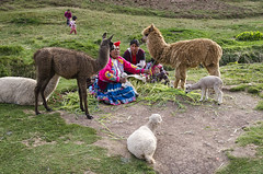 Peru:  Tambomachay Residents