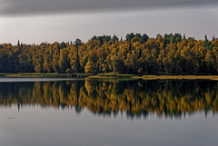 You Asked for Something Beautiful...Nature Provided It!