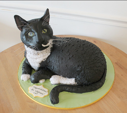 Sculpted Cat Cake