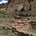 Remains of Tyuonyi Pueblo, Frijoles Canyon
