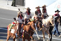 2020 Pasadena Rose Parade - Temecula Carriage Company