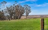 163 Donalds Range Road, Razorback NSW