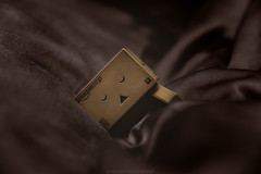 Bed Time for Danbo // 11/01/2020