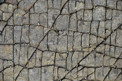 Cracked mudstone texture