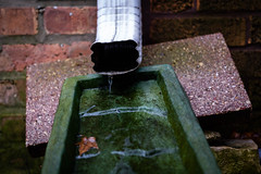 (011 of 366) Downspout