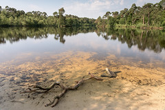 Fotoreis-Noord-Brabant-Beterelandschapsfoto-Ven-Workshop