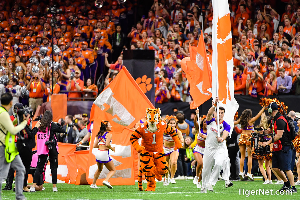 Clemson Football Photo of lsu and The Tiger