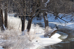 Icy wonderland by the river (Large)