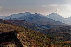 The Visitor Directory Here Has Adventure, Wonder, Beauty and a Whole Lot More! (Denali National Park & Preserve)
