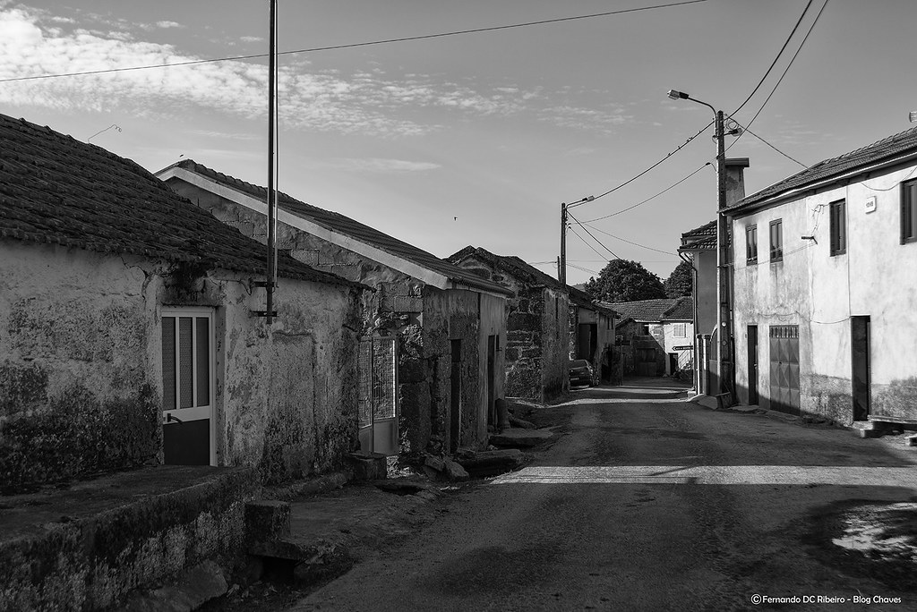 1600-peireses (27)