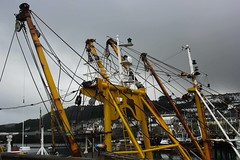 200/365 Fishing. #Newlyn #Cornwall #boats
