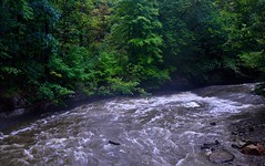 Rapids and Waters of Brandywine Creek (Cuyahoga Valley National Park)