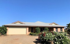 81 Tipperary Lane, Young NSW