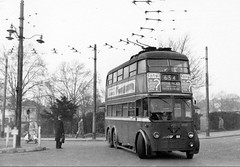 London transport B1 trolleybus 89 on route 654 Sutton Green 1959.